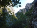 DSCN2725