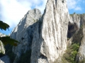 DSCN2726