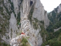 DSCN2756